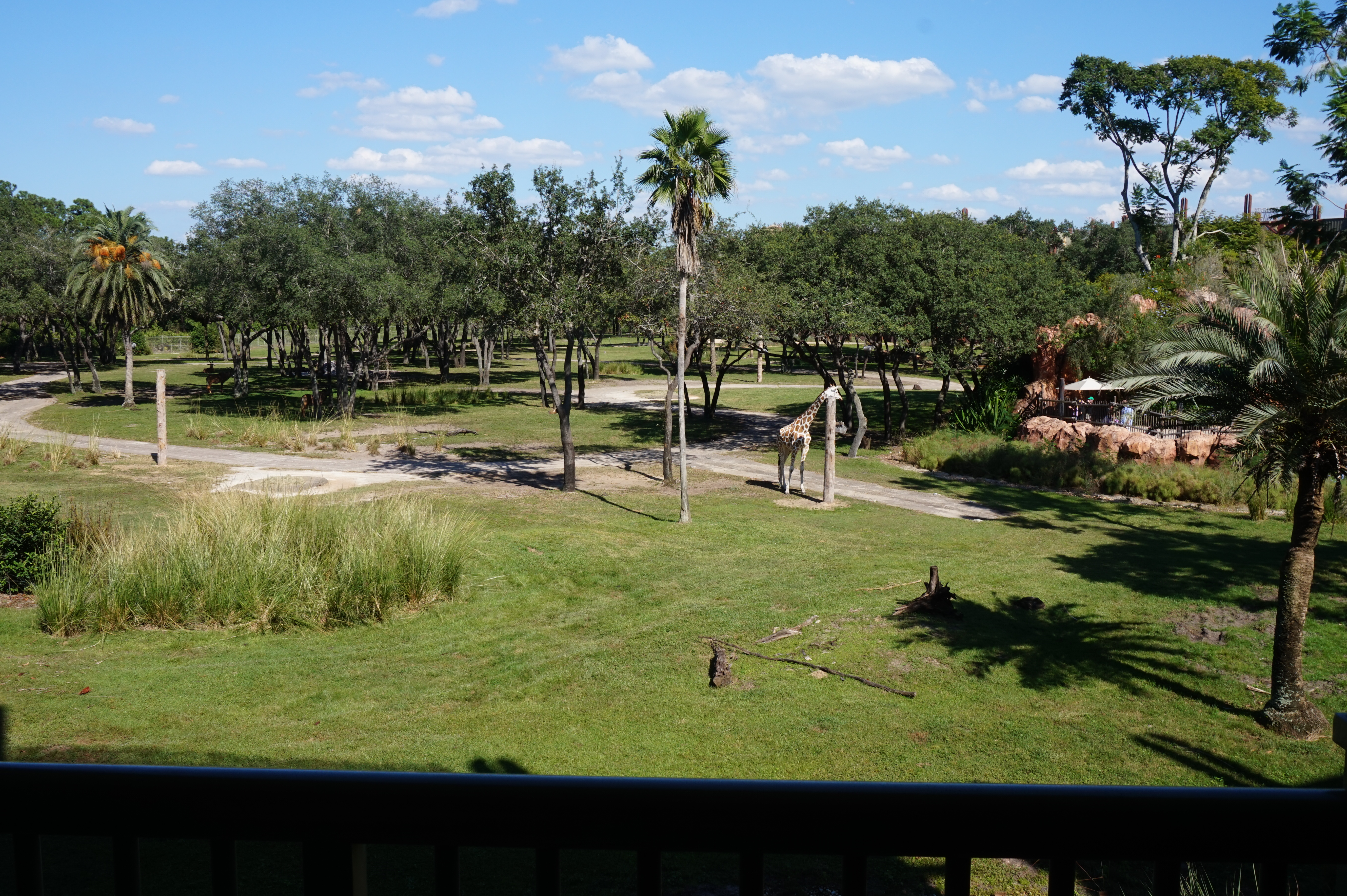 Room View Photo