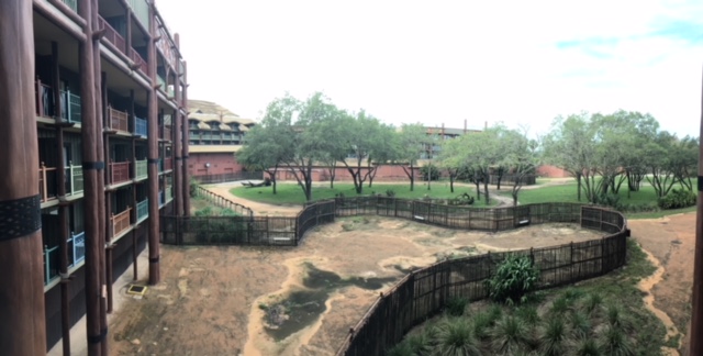 Room View Photo