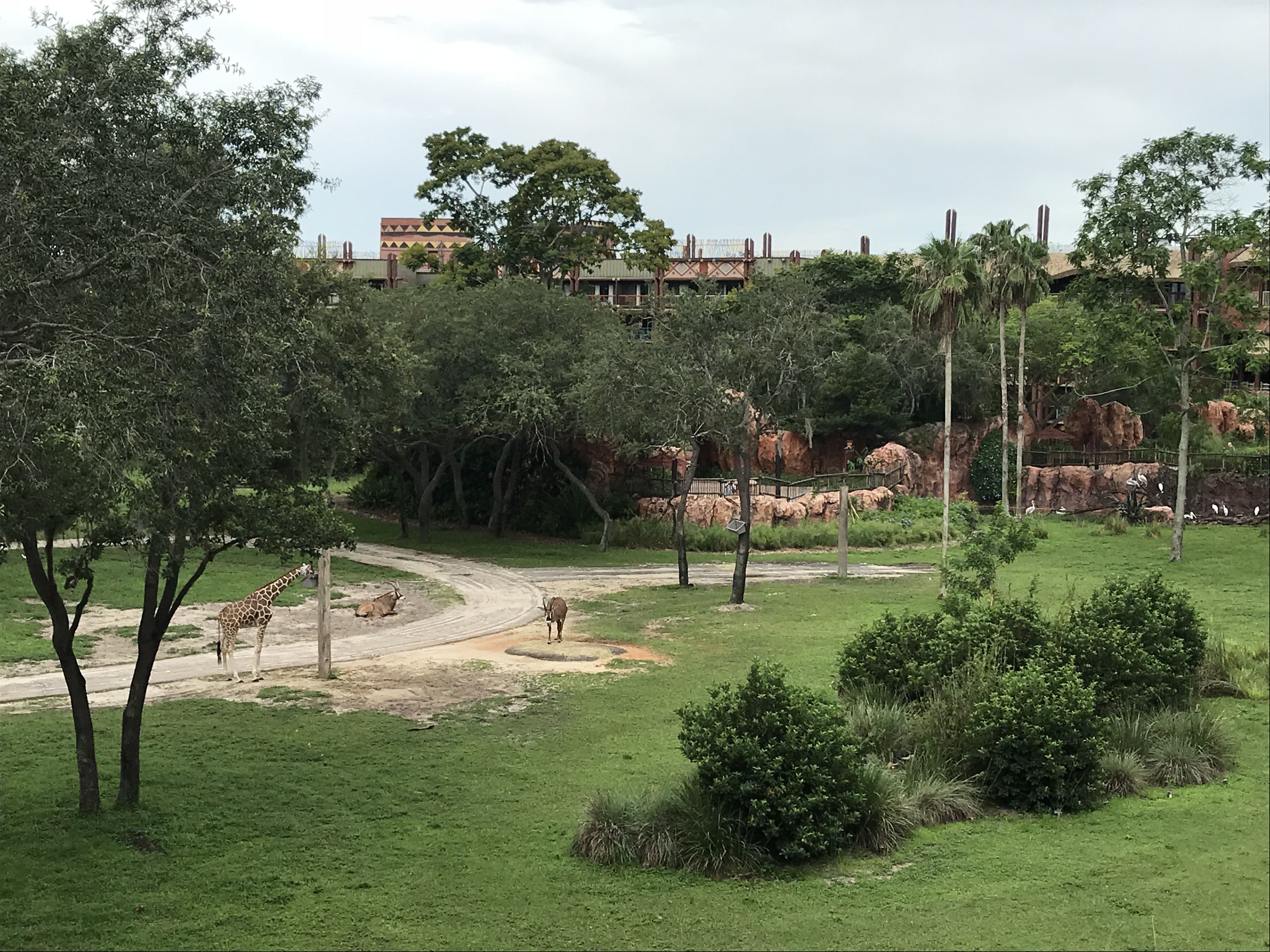 Room View Photo