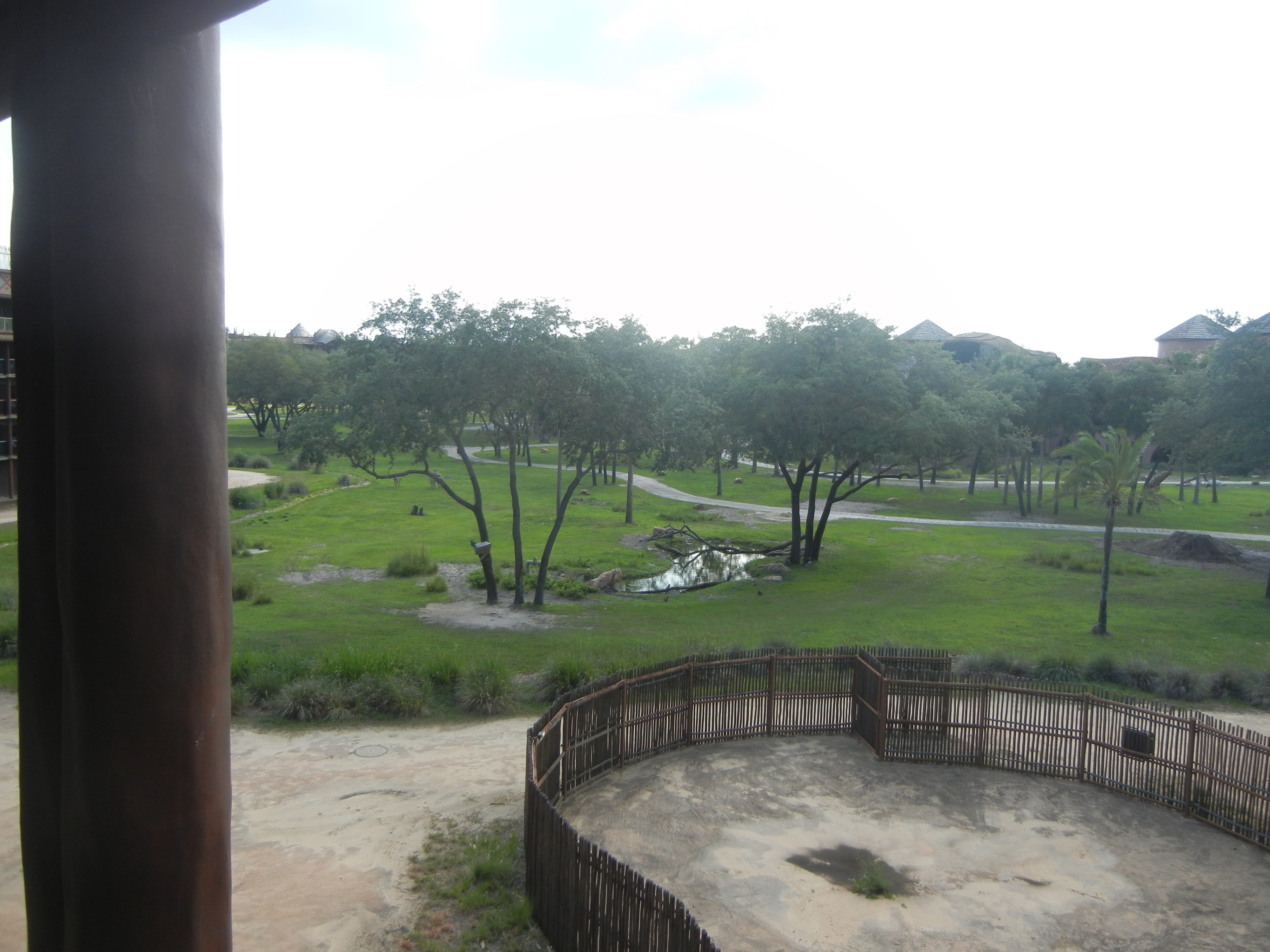 Room View Photo