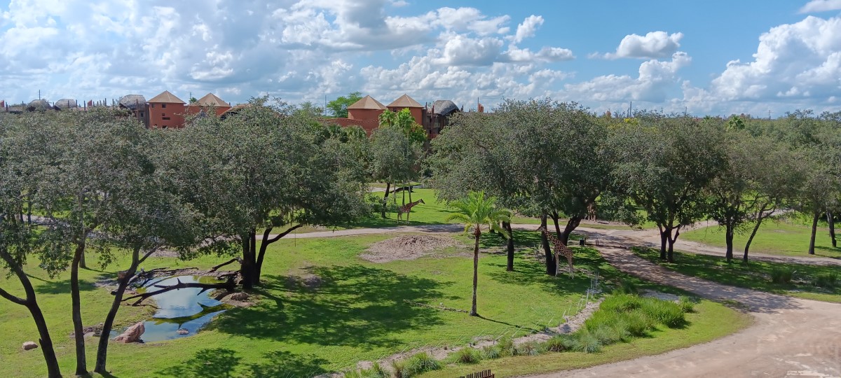 Room View Photo