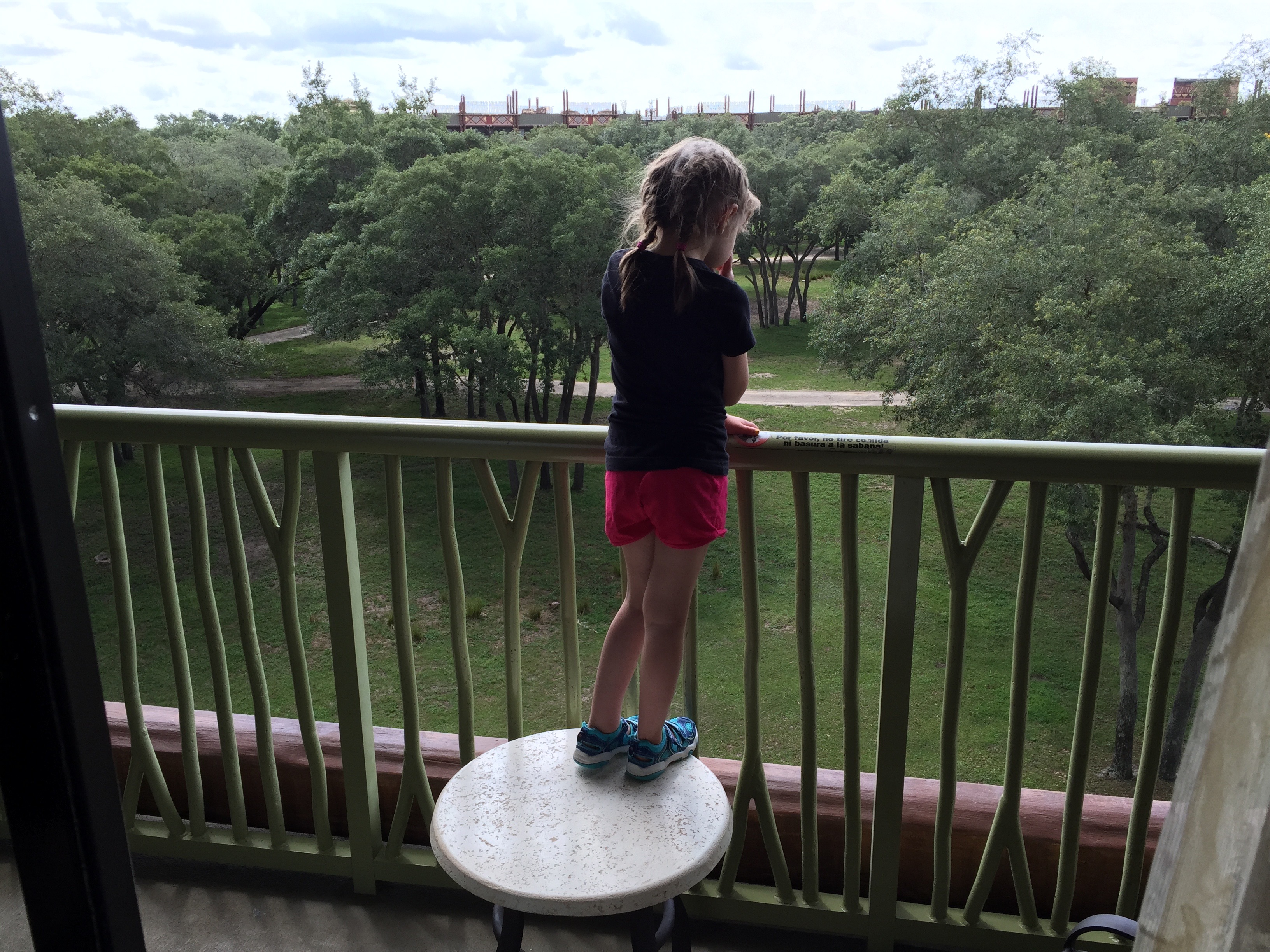 Room View Photo
