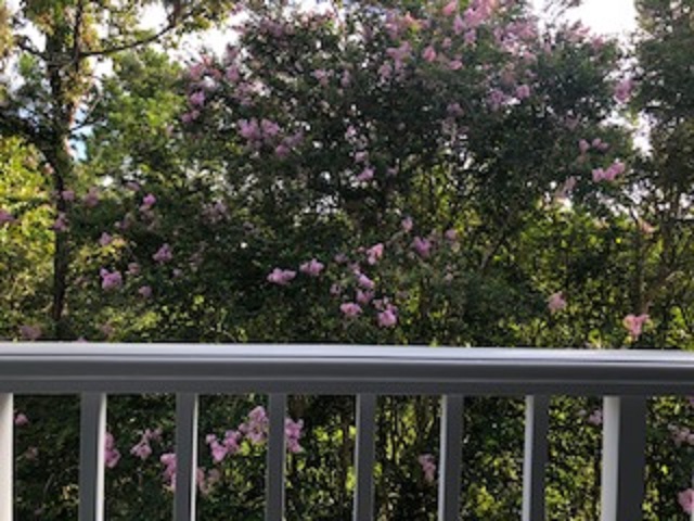 Room View Photo
