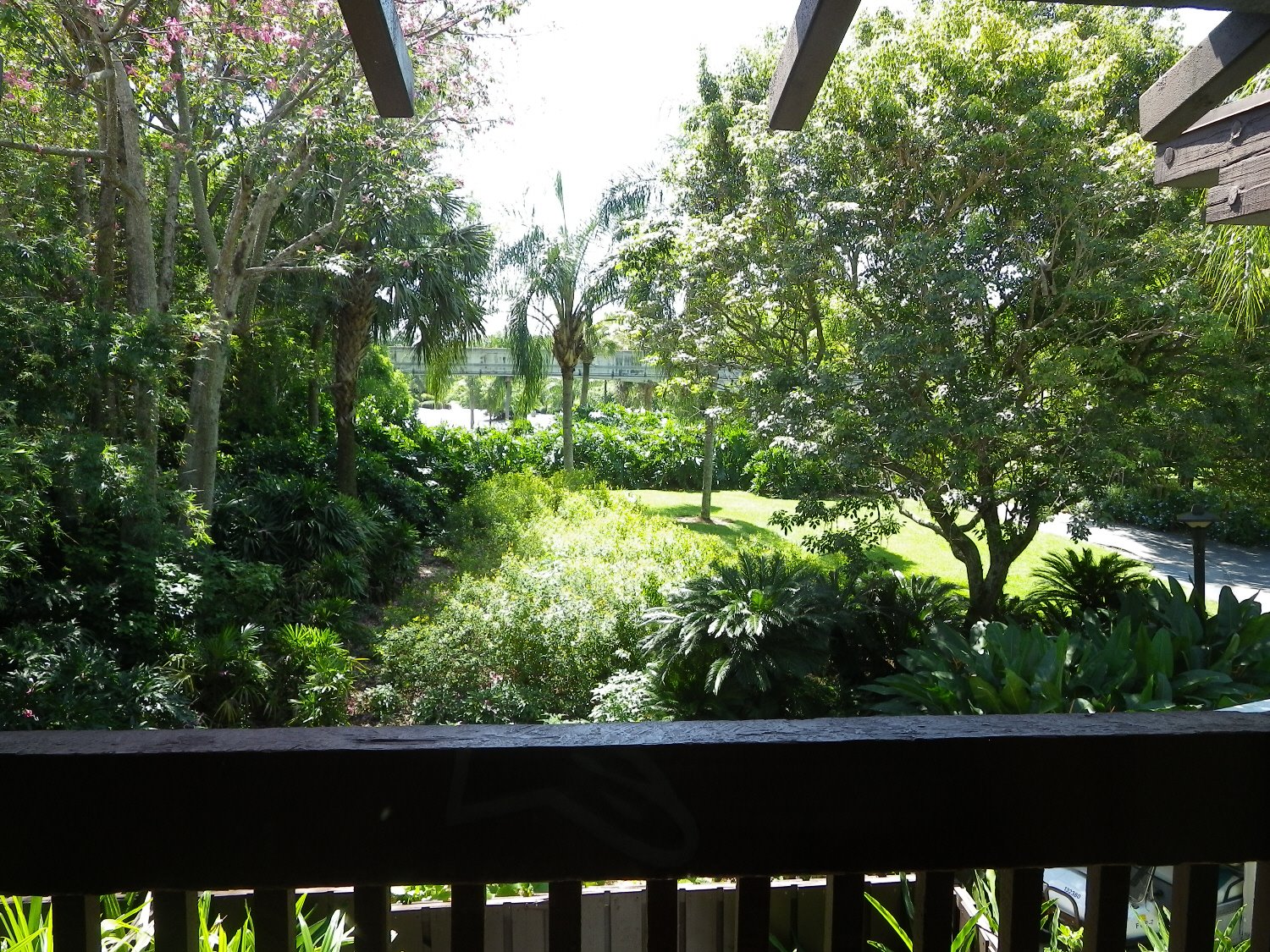 Room View Photo