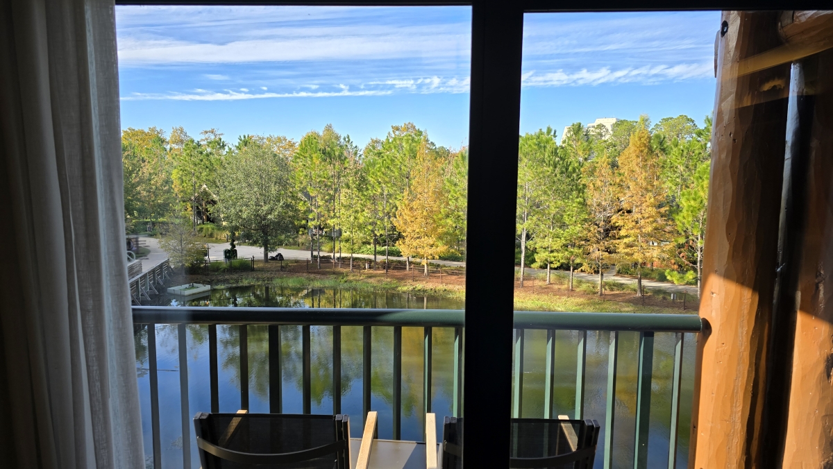 Room View Photo