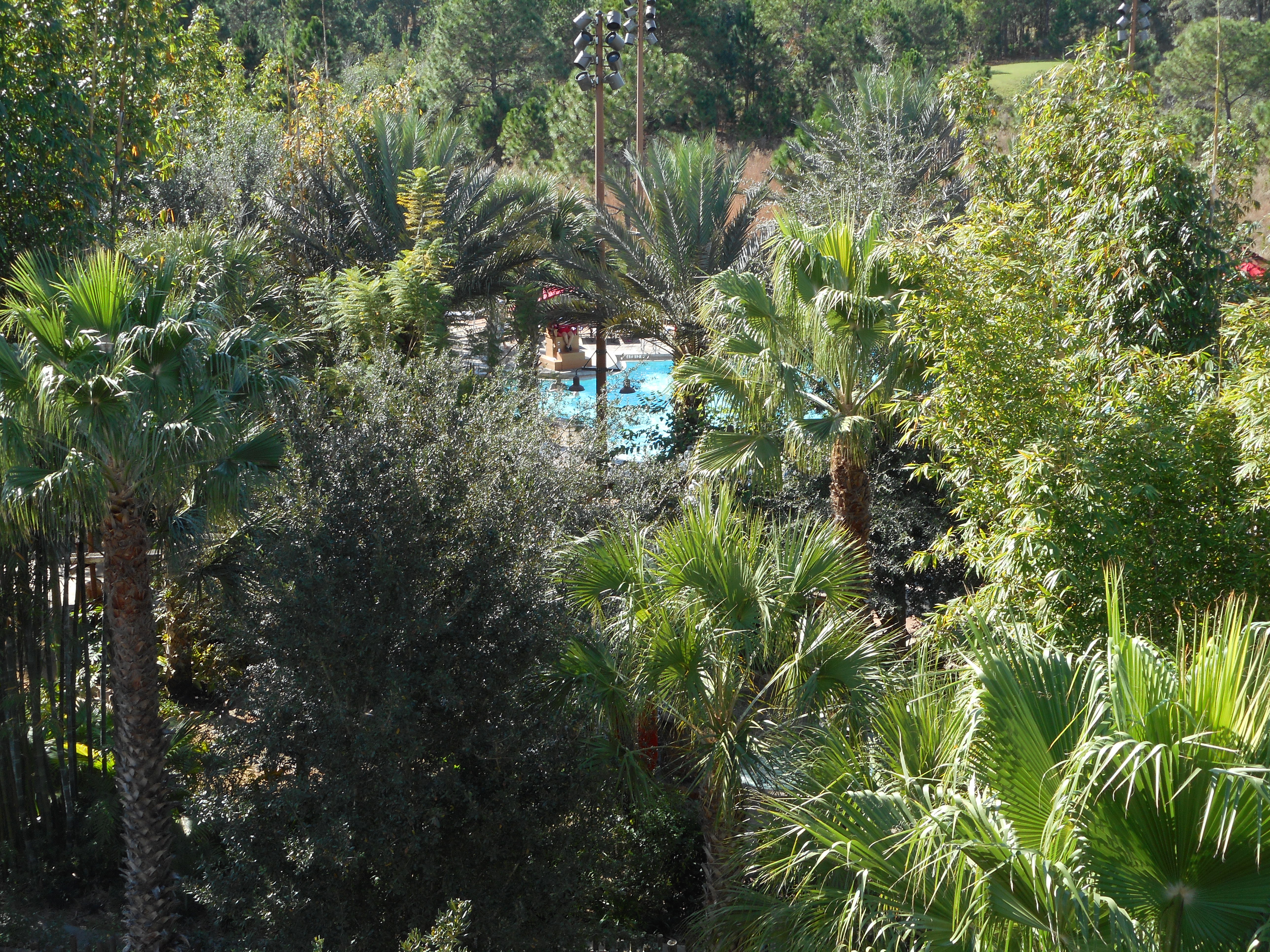 Room View Photo