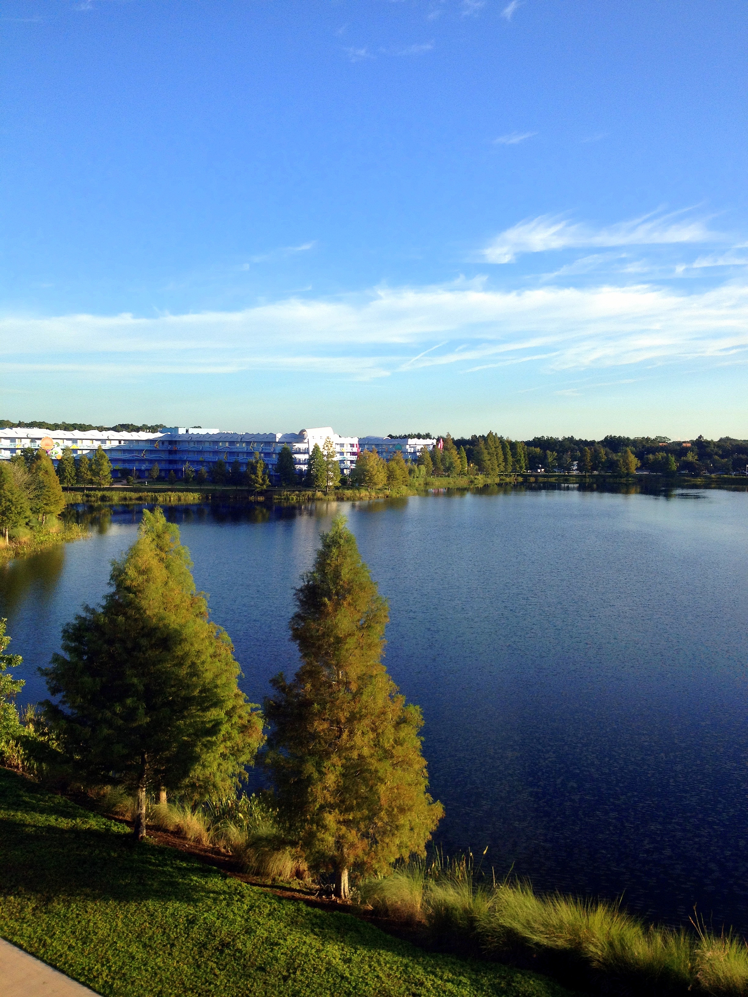 Room View Photo