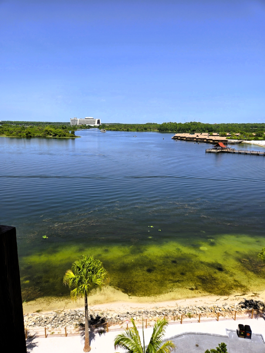 Room View Photo