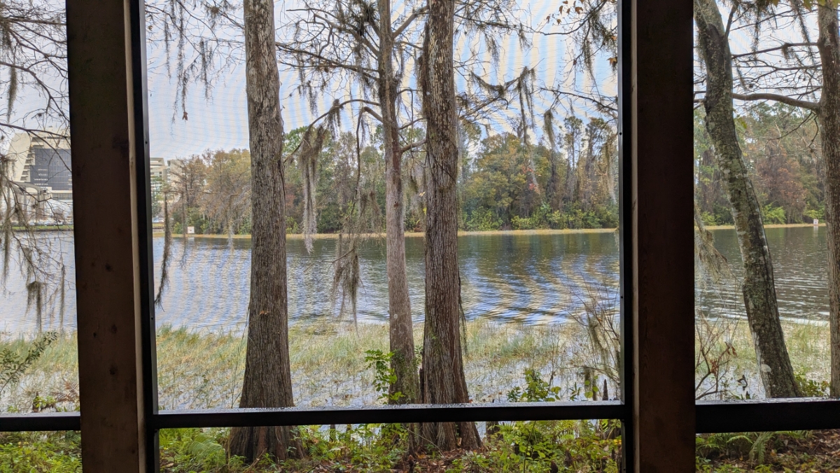 Room View Photo