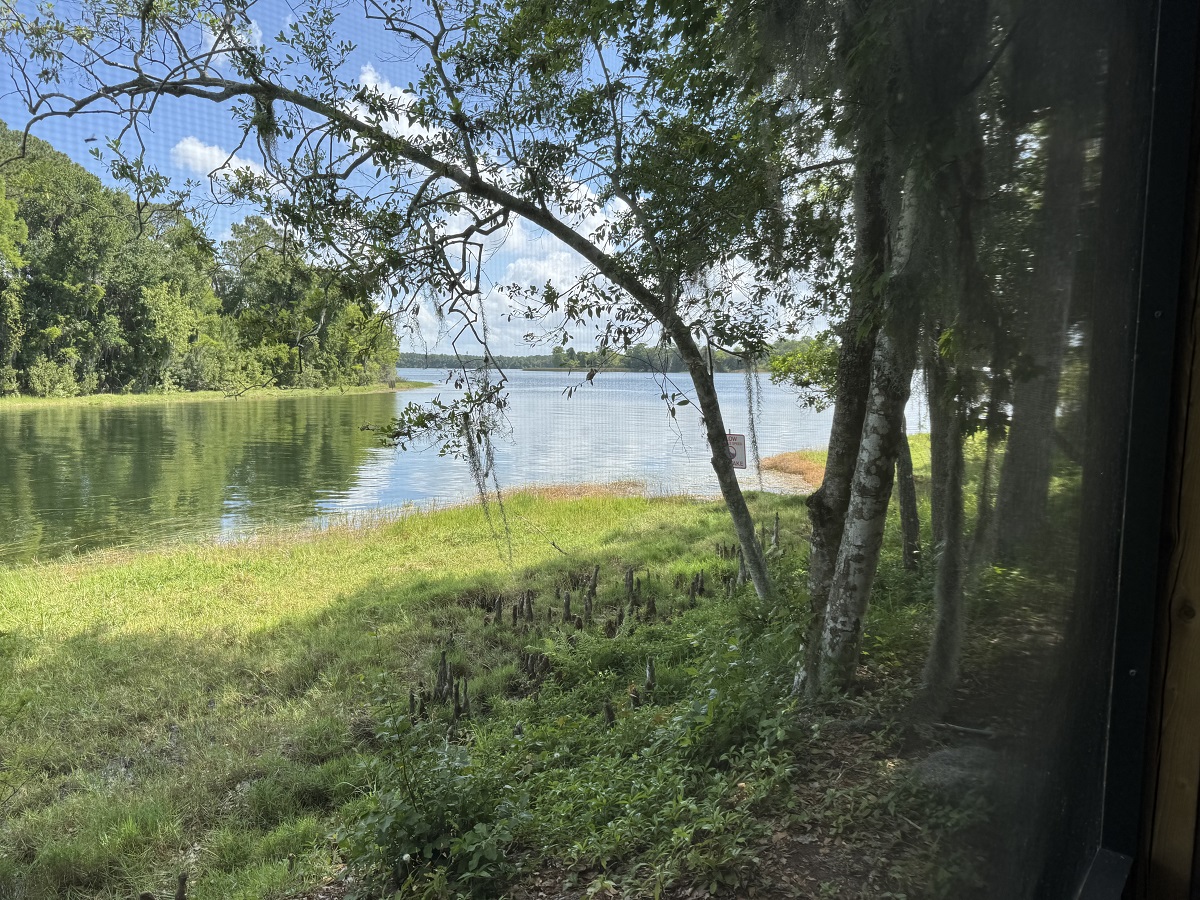 Room View Photo