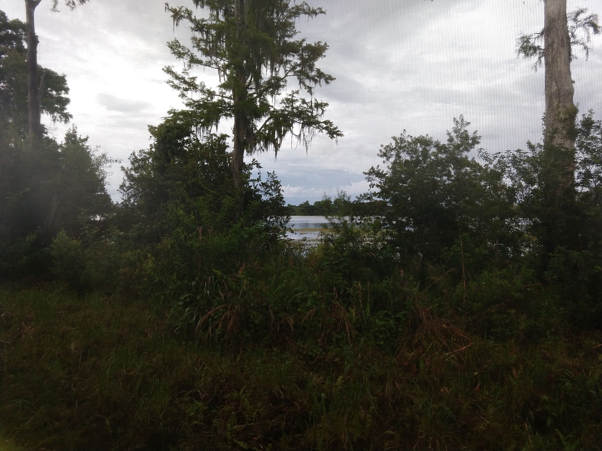 Room View Photo