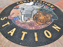 Conservation Station
